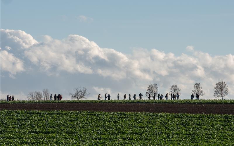 Schüler und Gäufeldener Bürger stellen den Weg nach, den die KZ-Häftlinge nach ihrer Ankunft in Nebringen zurücklegen mussten. GB-Fotos: Vecsey