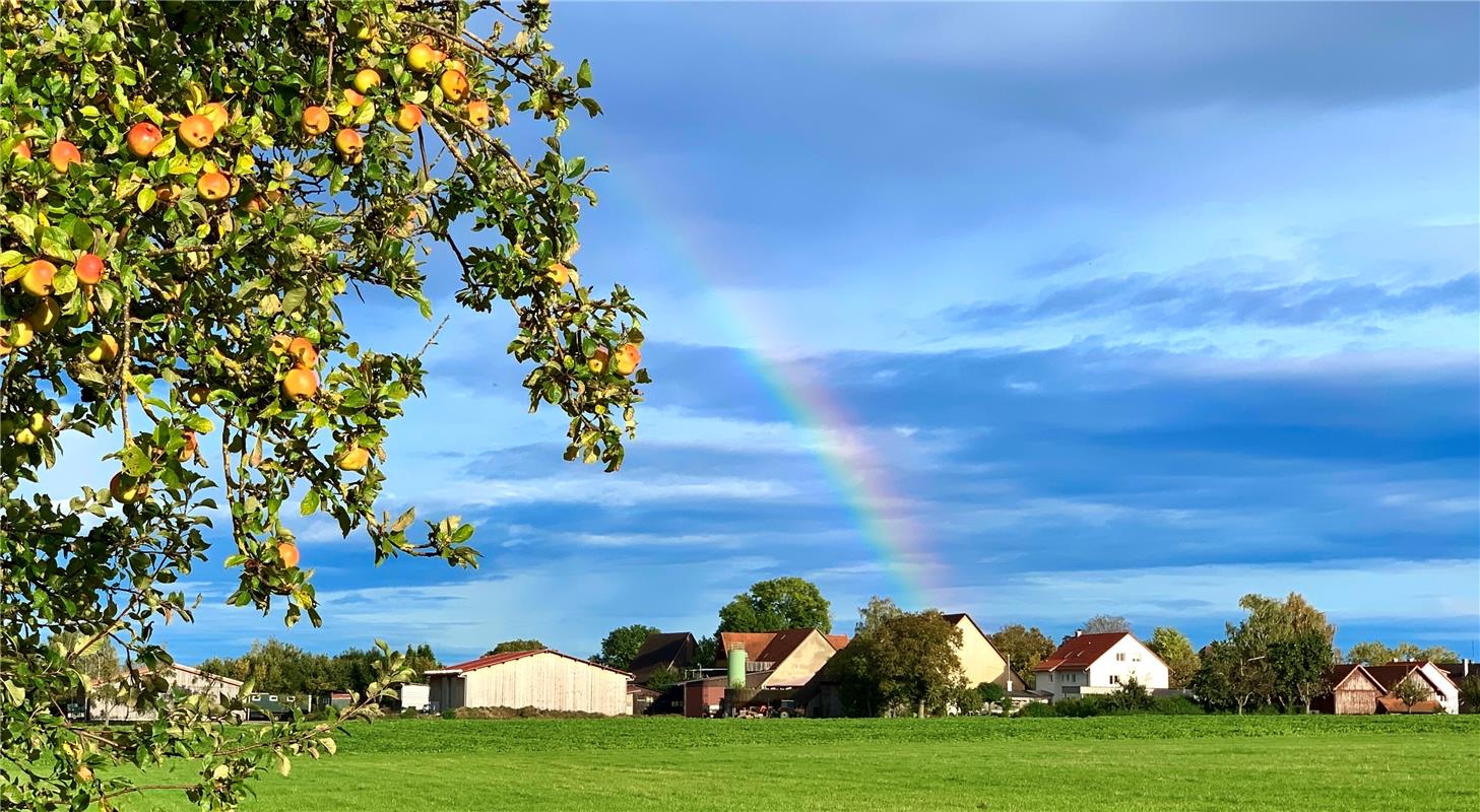 Somewhere under the rainbow...  Von Minja Rollinson aus Gäufelden.