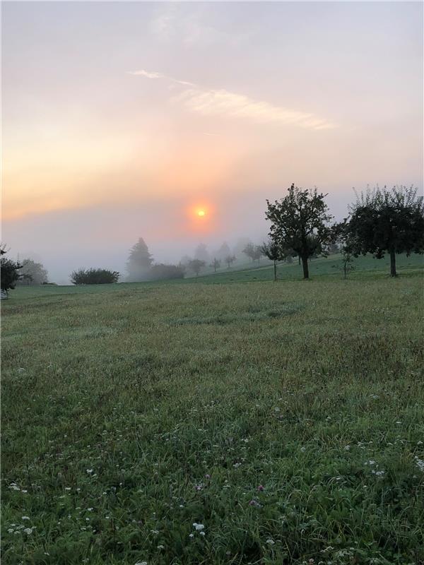 Sonnenaufgang über Streuobstwiesen.  Von Evemie Schwamb aus Herrenberg.