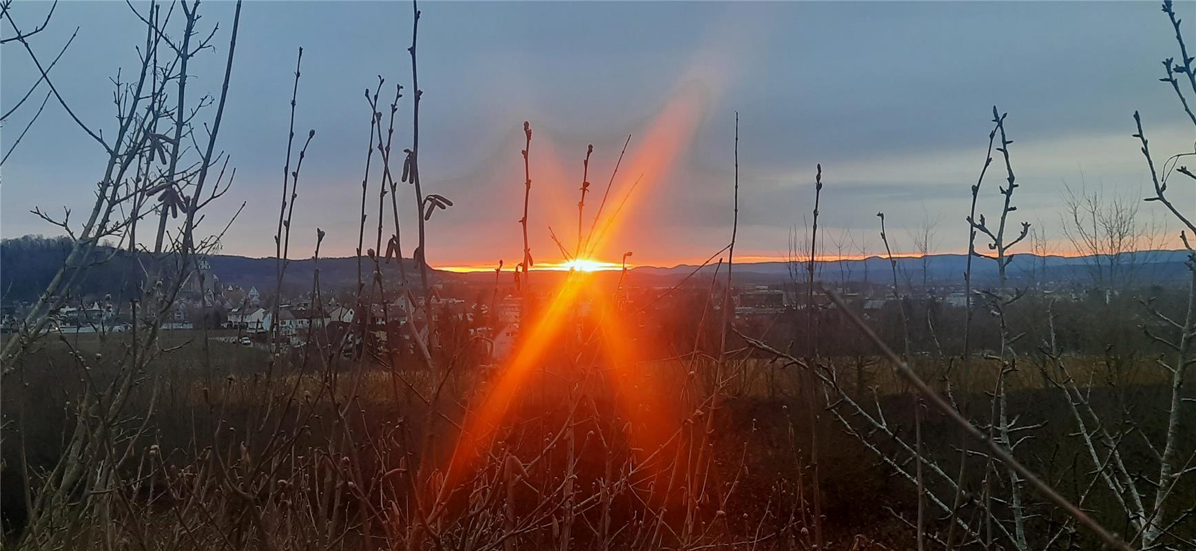 Sonnige Begrüßung am Samstagmorgen beim Spaziergang mit dem Hund. Zum Start in e...