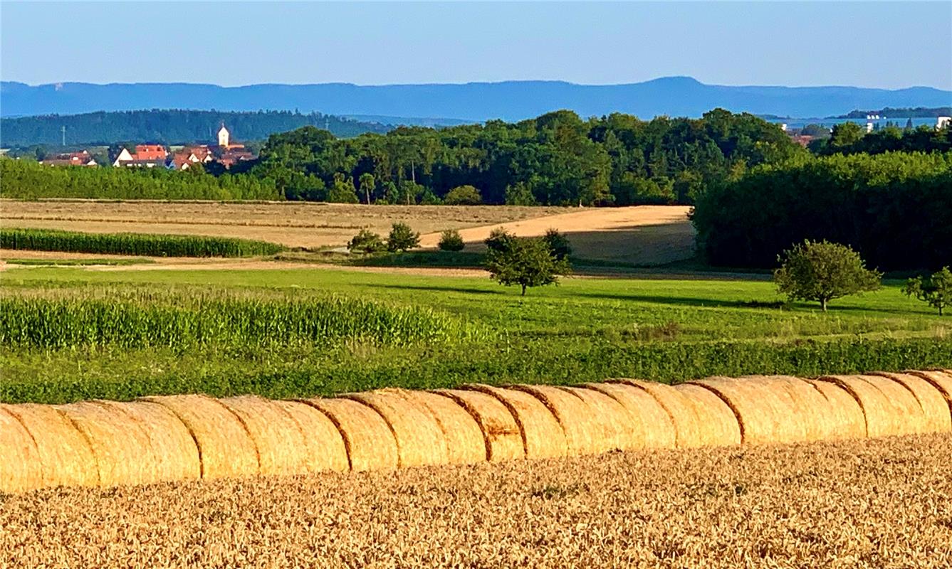 Unser Gäu in diesen Tagen: Getreidefelder, Heuballen, Wälder, lächelnde Dörfer u...