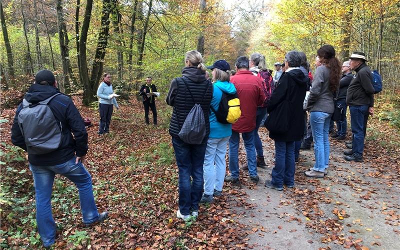 „Unseren Wald mit anderen Augen sehen“ lautete der Titel der Führung. GB-Foto: gb