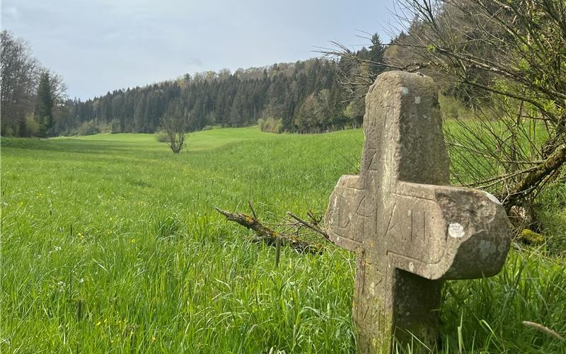 Vor allem die Sulzer sind mit dem geplanten Windkraftstandort im Bereich des Jägersteins und des Kuppinger Tals nicht einverstanden. GB-Foto: Priestersbach