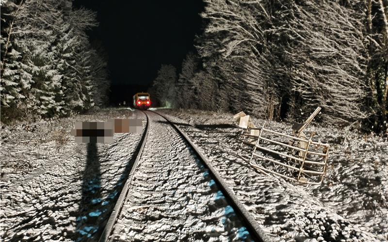 Zugunglück bei Nagold: Bahn erfasst Viehanhänger - Zuchtbullen sterben