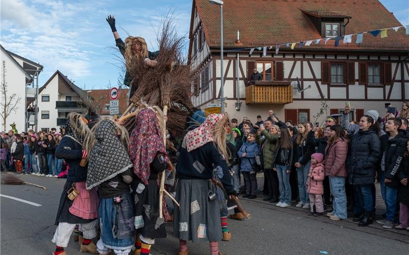 Bilder vom ersten Fasnetsumzug durch Rohrau