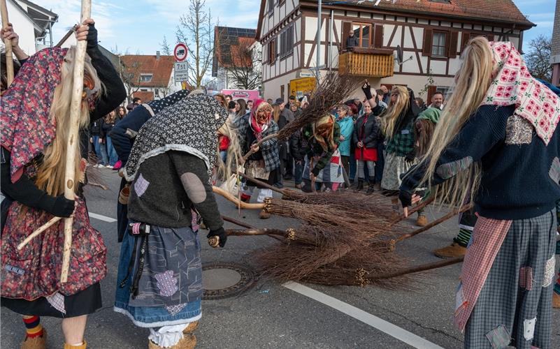 Bilder vom ersten Fasnetsumzug durch Rohrau