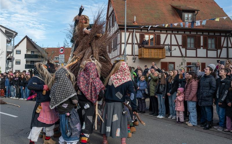 Bilder vom ersten Fasnetsumzug durch Rohrau