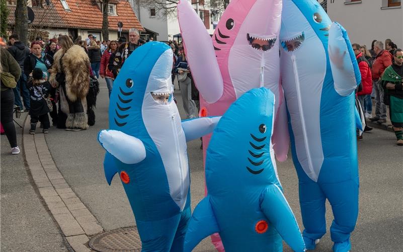 Bilder vom ersten Fasnetsumzug durch Rohrau