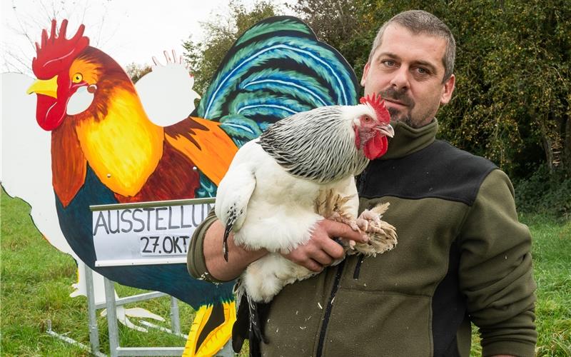 Züchter Attila Balint wurde für seinen Sundheimer Hahn ausgezeichnet. GB-Foto: Schmidt