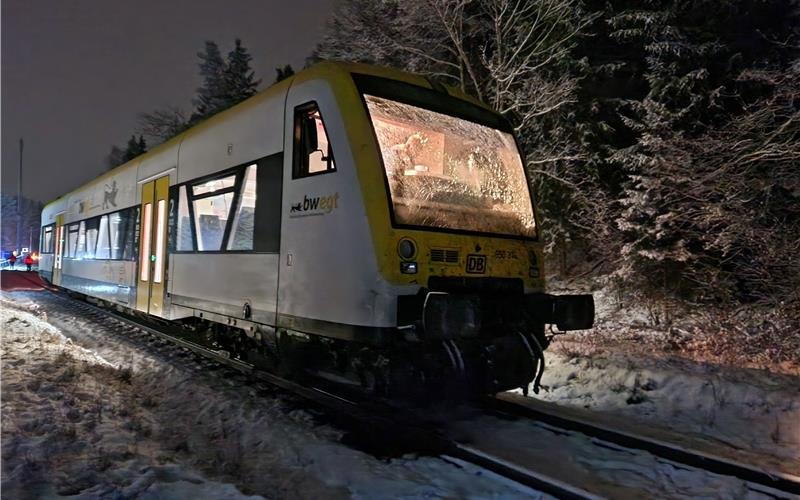 Zugunglück bei Nagold: Bahn erfasst Viehanhänger - Zuchtbullen sterben